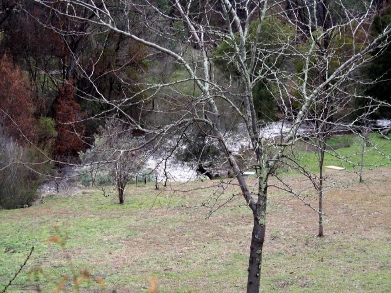 Lot 50 Micalong Close, Wee Jasper NSW 2582
