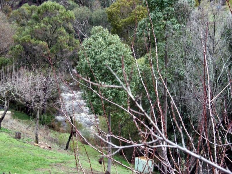 Lot 50 Micalong Close, Wee Jasper NSW 2582