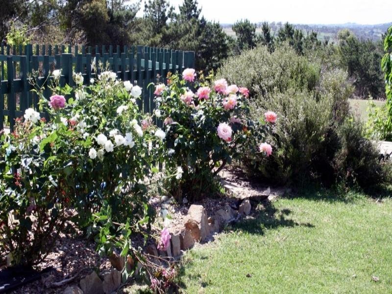 182 Rossi Street, Yass NSW 2582