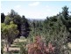 182 Rossi Street, Yass NSW 2582