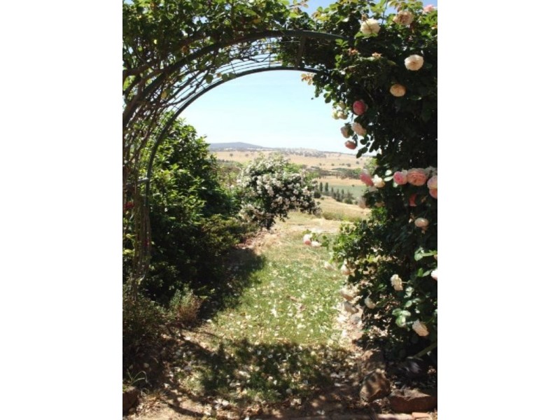 329 Yass River Road, Yass NSW 2582