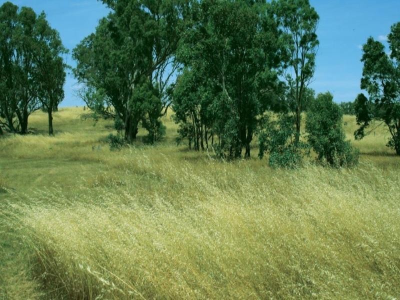 329 Yass River Road, Yass NSW 2582