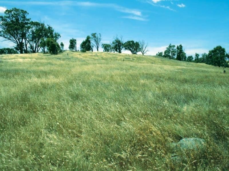 329 Yass River Road, Yass NSW 2582