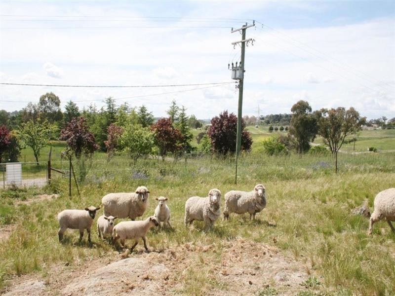8 Shearsby Crescent, Yass NSW 2582