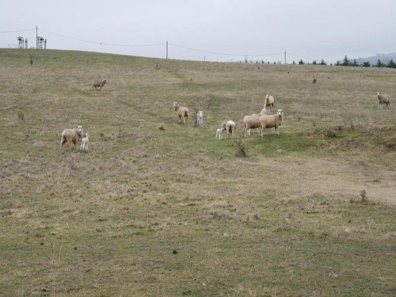 12 Glover Drive, Yass NSW 2582