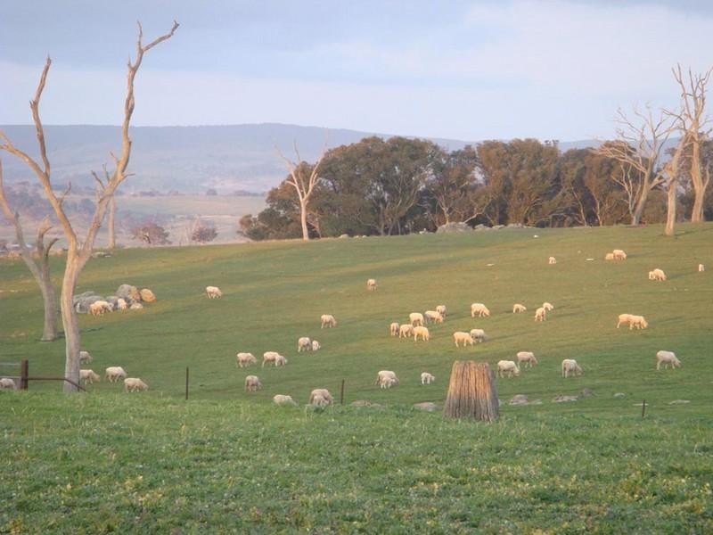 Lots 9, 11 & 13 Hume Highway, Gunning NSW 2581