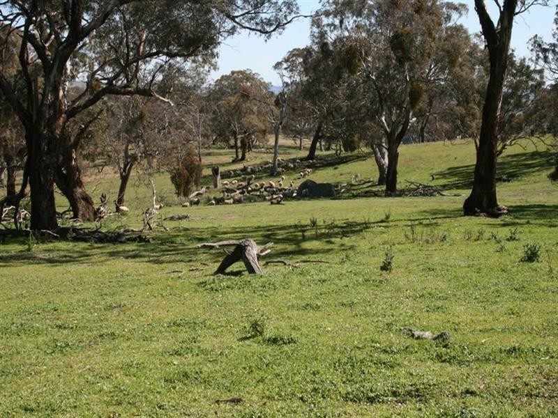 Lots 9, 11 & 13 Hume Highway, Gunning NSW 2581