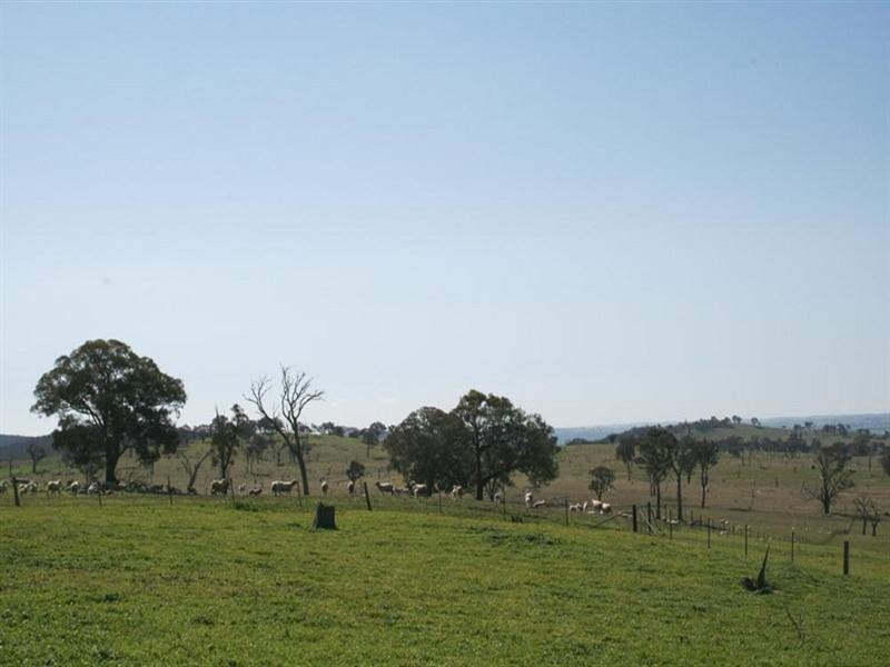 Lots 9, 11 & 13 Hume Highway, Gunning NSW 2581
