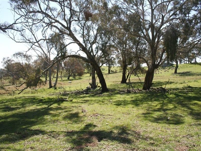 Lots 9, 11 & 13 Hume Highway, Gunning NSW 2581