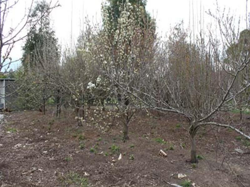 3 Ambleside Avenue, Murrumbateman NSW 2582