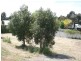28a Shaw Street, Yass NSW 2582