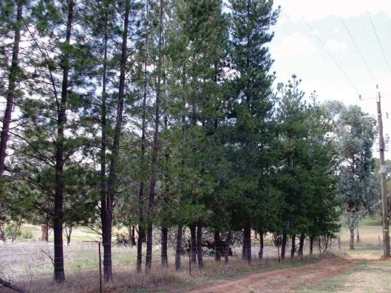 62 Stephen Street, Binalong NSW 2584