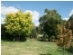 246 Patemans Lane, Murrumbateman NSW 2582