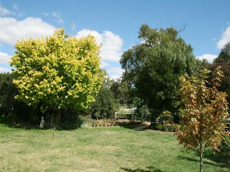 246 Patemans Lane, Murrumbateman NSW 2582