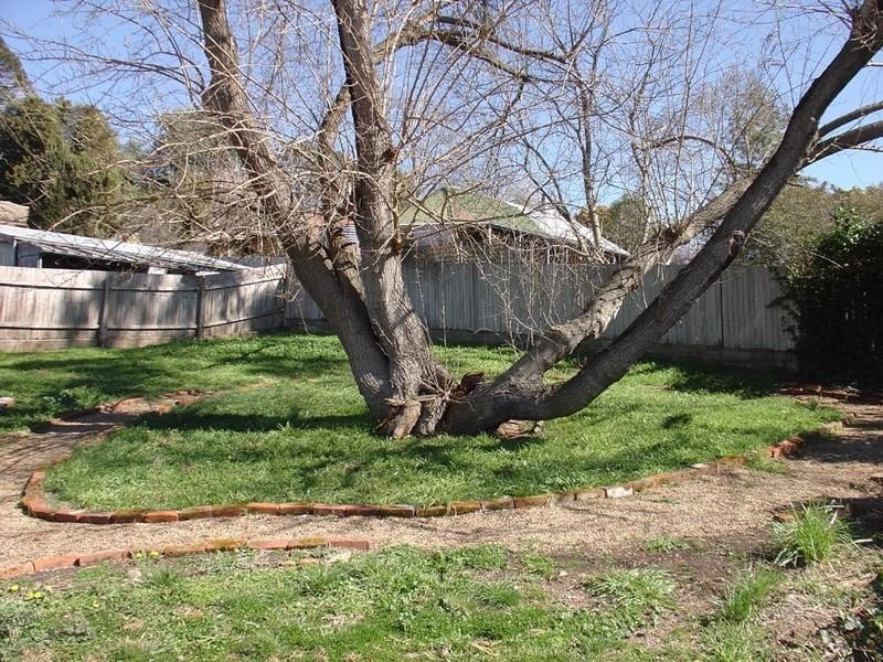 85 Rossi Street, Yass NSW 2582