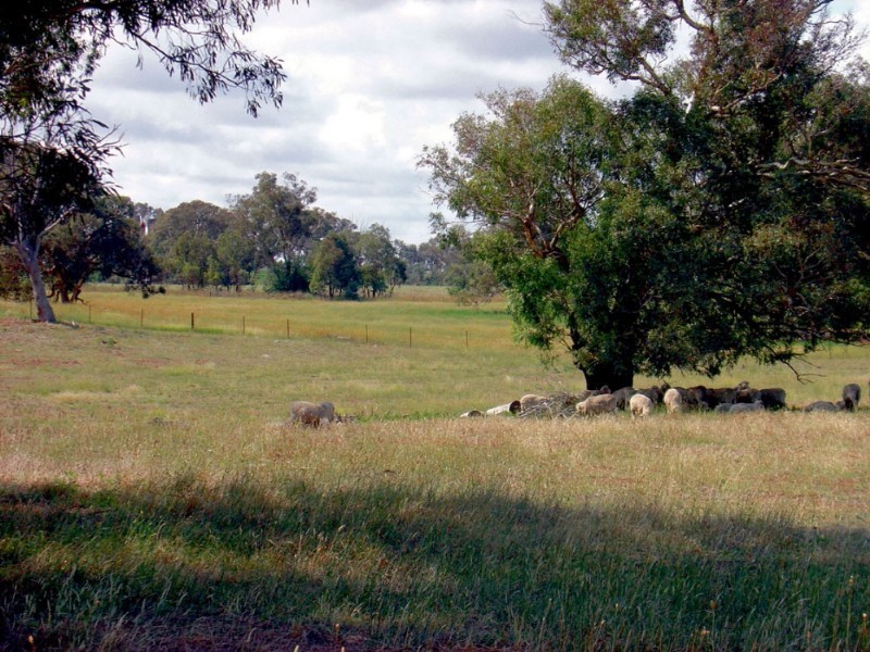 196 Yass Valley Way, Yass NSW 2582