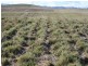 Lot 112 Dog Trap Road, Yass NSW 2582