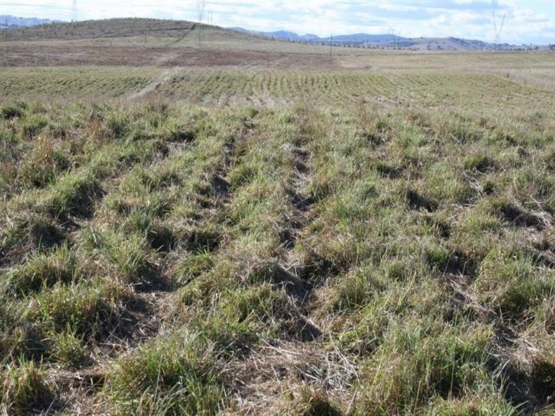 Lot 112 Dog Trap Road, Yass NSW 2582