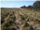 Lot 112 Dog Trap Road, Yass NSW 2582