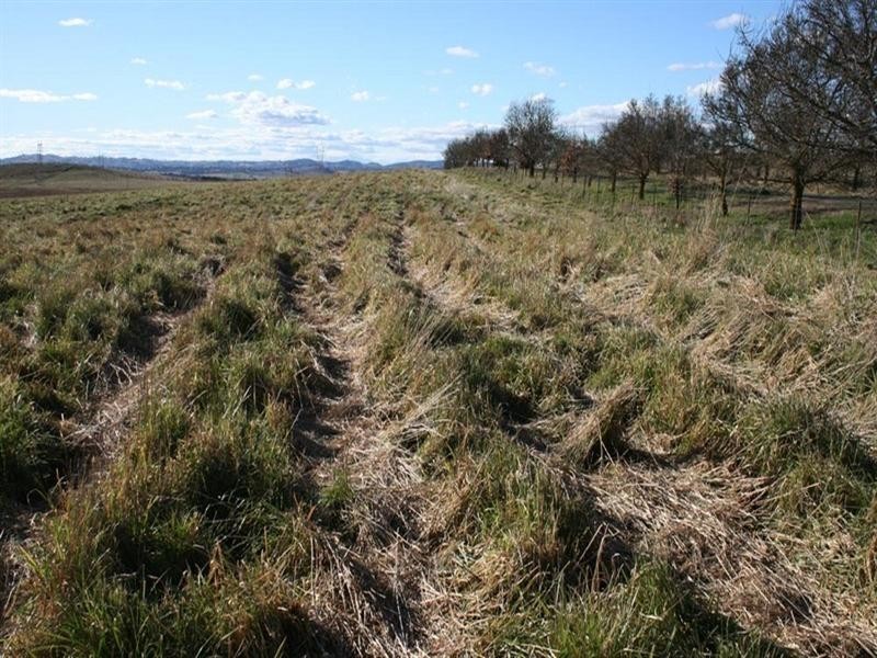 Lot 112 Dog Trap Road, Yass NSW 2582