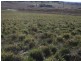 Lot 112 Dog Trap Road, Yass NSW 2582