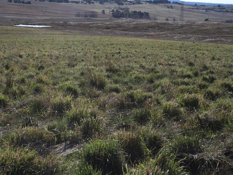 Lot 112 Dog Trap Road, Yass NSW 2582