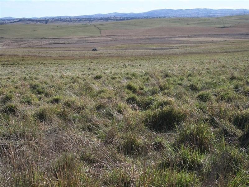 Lot 112 Dog Trap Road, Yass NSW 2582