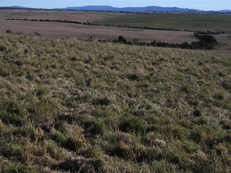 Lot 112 Dog Trap Road, Yass NSW 2582