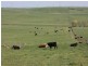 Lot 112 Dog Trap Road, Yass NSW 2582