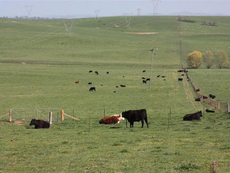 Lot 112 Dog Trap Road, Yass NSW 2582