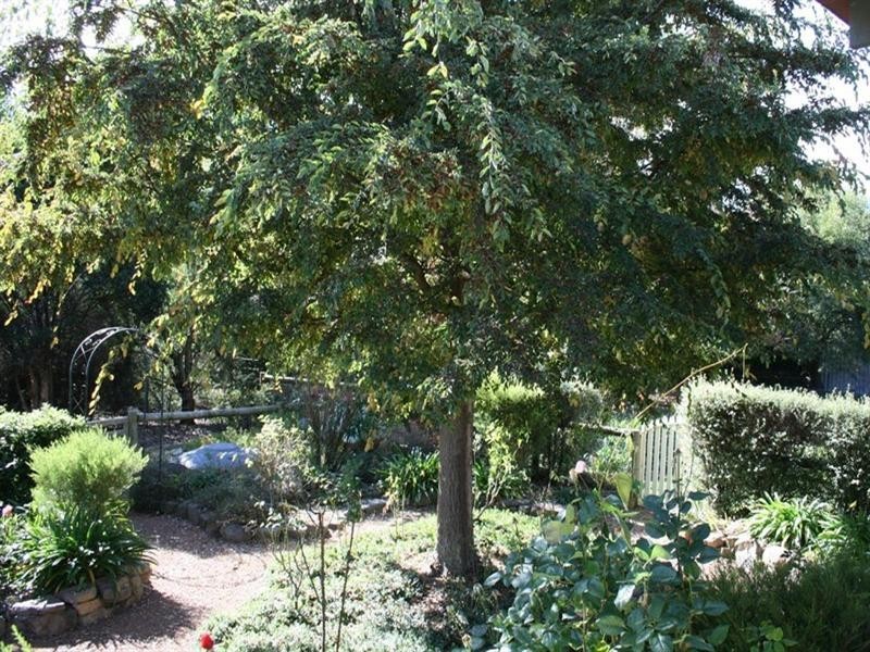 17 West Street, Murrumbateman NSW 2582