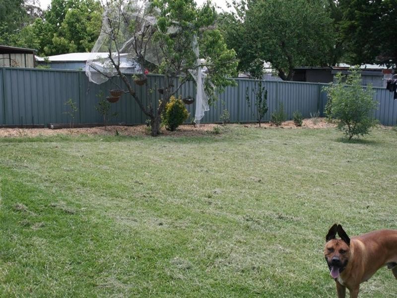 22 Shaw Street, Yass NSW 2582