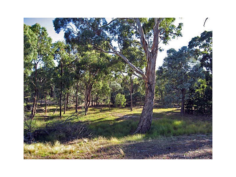1050 Dicks Creek Road, Murrumbateman NSW 2582