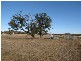 628 Mulloon Road, Bungendore NSW 2621