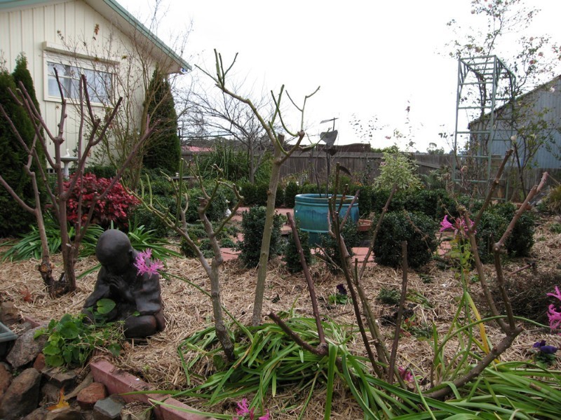 27 Mcintosh Street, Queanbeyan NSW 2620