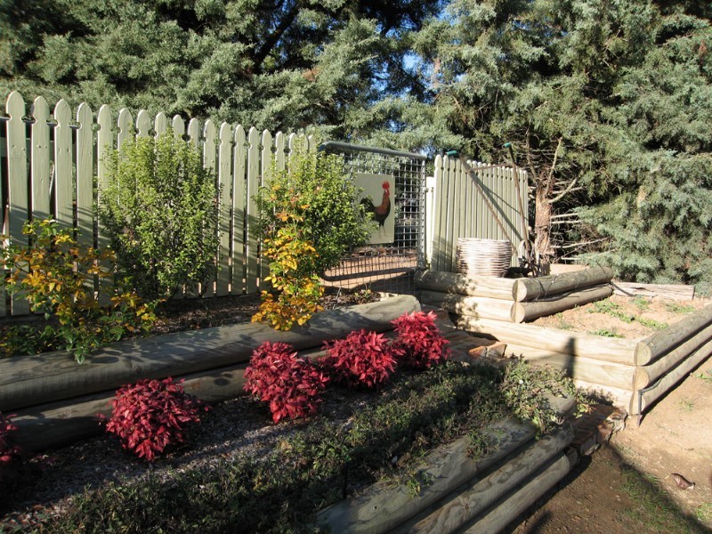 56 Turallo Terrace, Bungendore NSW 2621