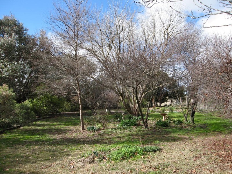 438 Plains Road, Hoskinstown NSW 2621