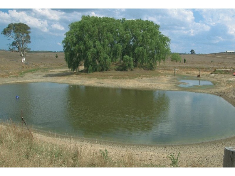 13 Woolshed Lane, Bungendore NSW 2621