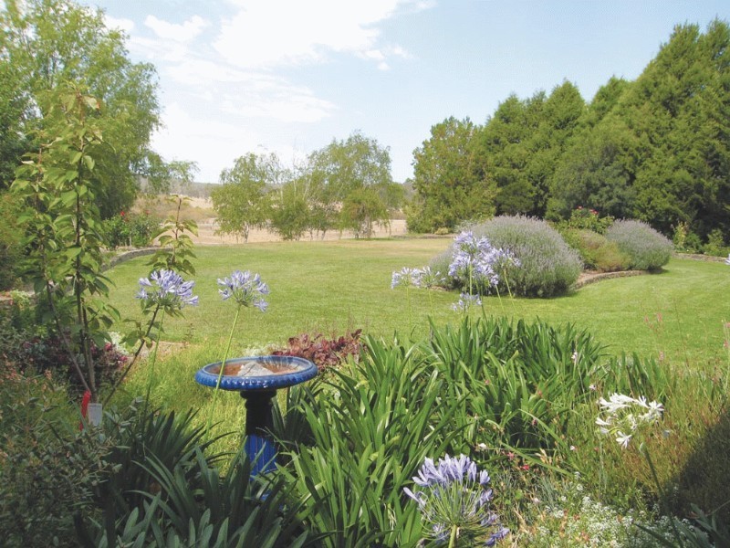 13 Woolshed Lane, Bungendore NSW 2621