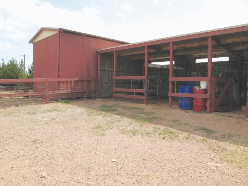 13 Woolshed Lane, Bungendore NSW 2621