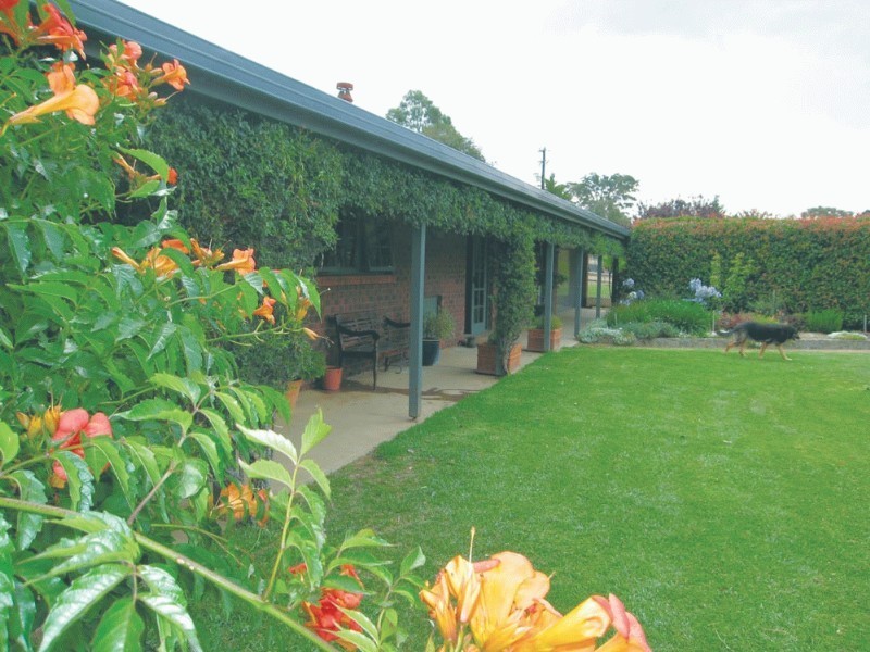 13 Woolshed Lane, Bungendore NSW 2621