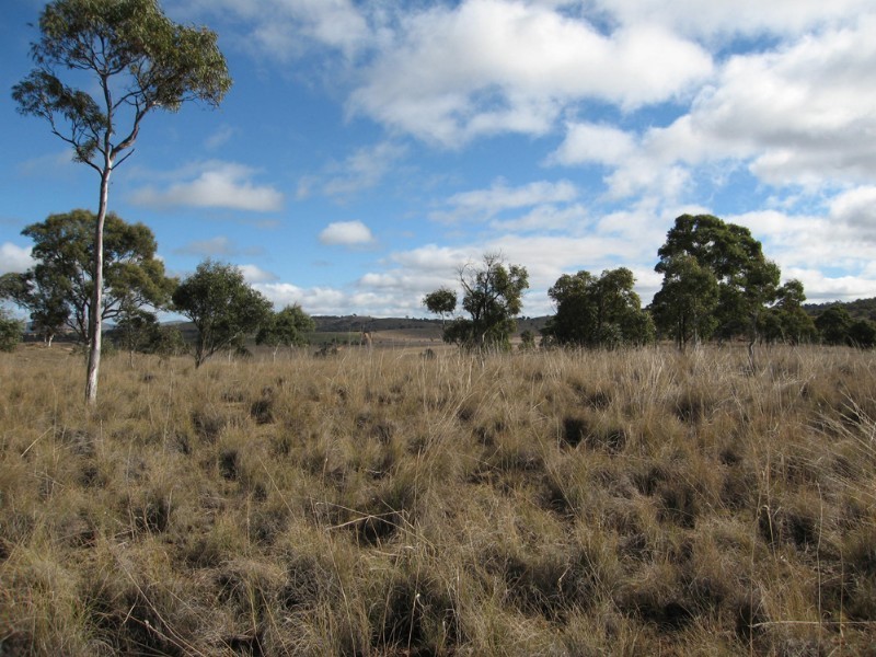 Lot 1 Rossi Road, Hoskinstown NSW 2621