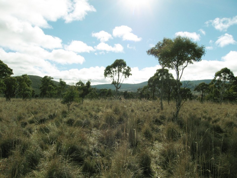 Lot 1 Rossi Road, Hoskinstown NSW 2621