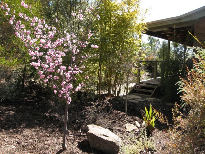 22 Reedy Creek Place, Wamboin NSW 2620