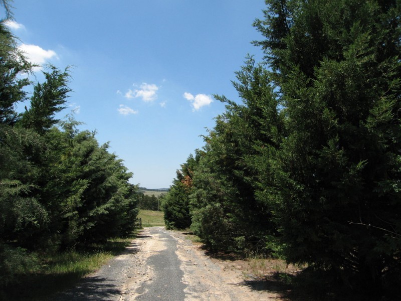 78 Taylors Creek Road, Tarago NSW 2580