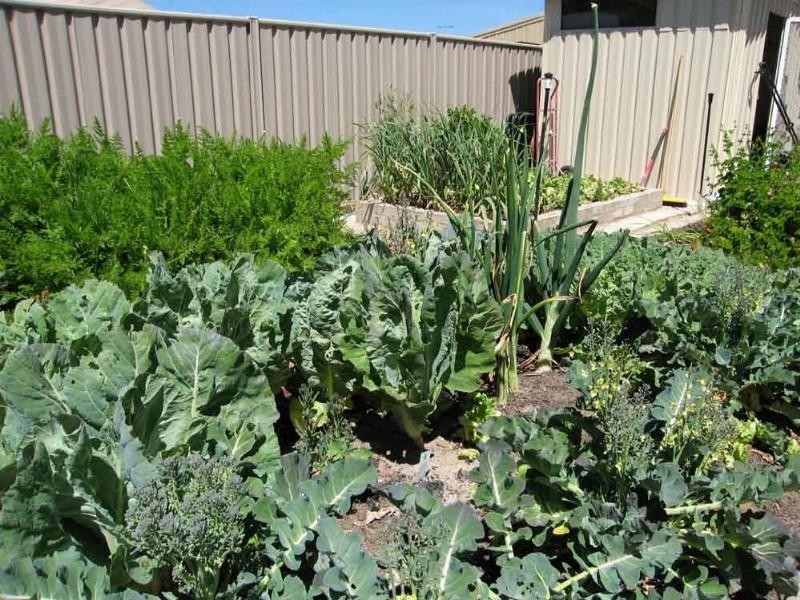 18 Birch Drive, Bungendore NSW 2621