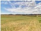 1443 Hoskinstown Road, Hoskinstown NSW 2621