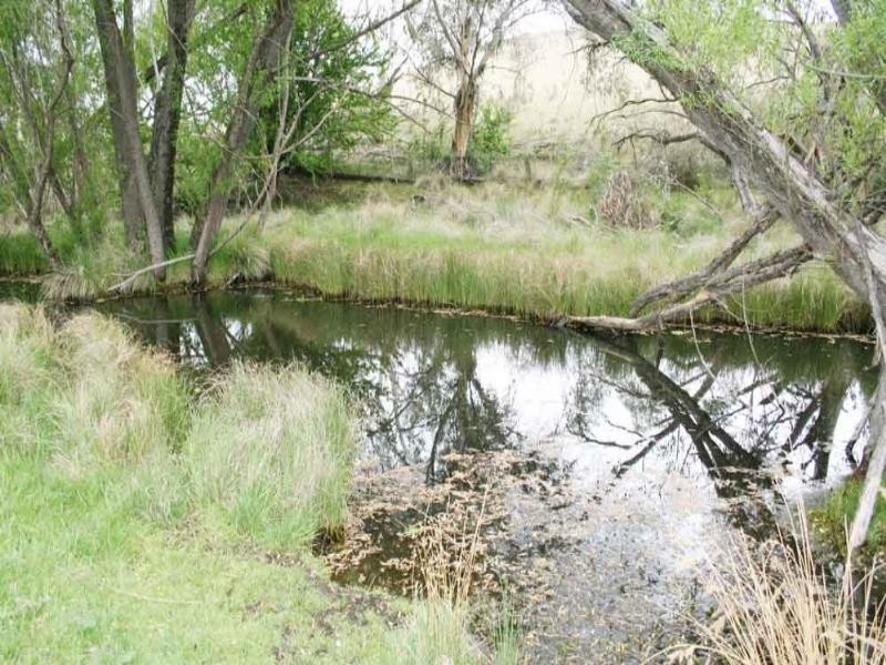 352 Rossi Road, Hoskinstown NSW 2621