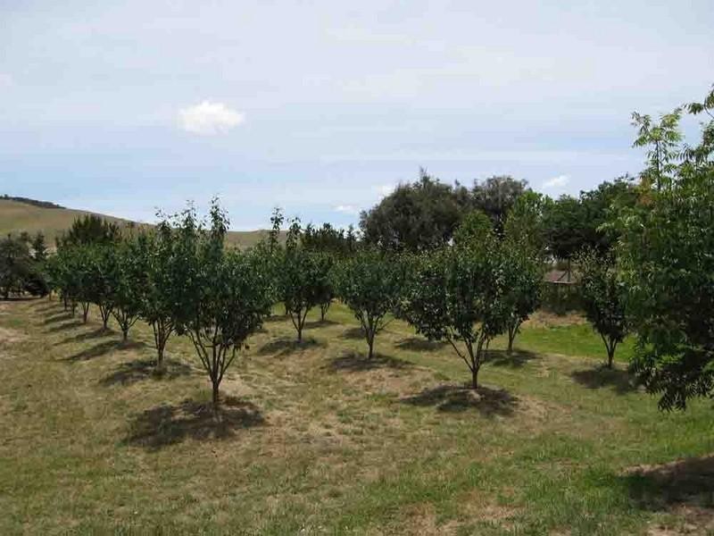 765 Spring Range Road, Hall ACT 2618