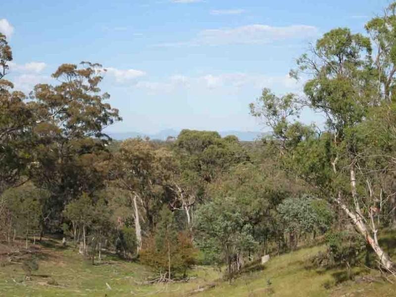 Lot 2 Cherry Tree Lane, Bungendore NSW 2621
